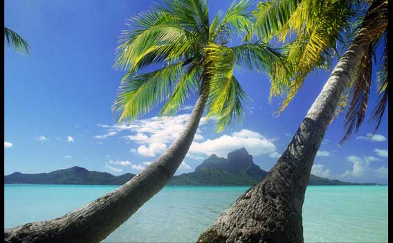 tropical destinations and Home Based Business Opportunity